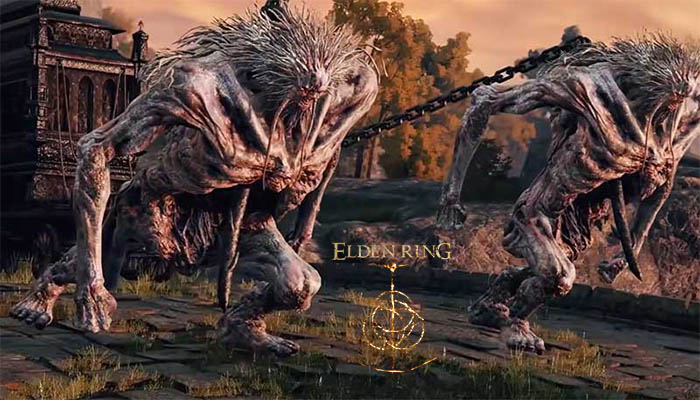 How to Use Festering Bloody Finger in Elden Ring