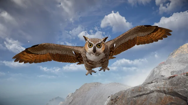Where to Find Owls in Horizon Forbidden West