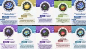 Genshin Impact 3.0 Sumeru Fruits and Flowers Leaked