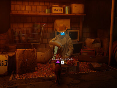 Stray Qm Games