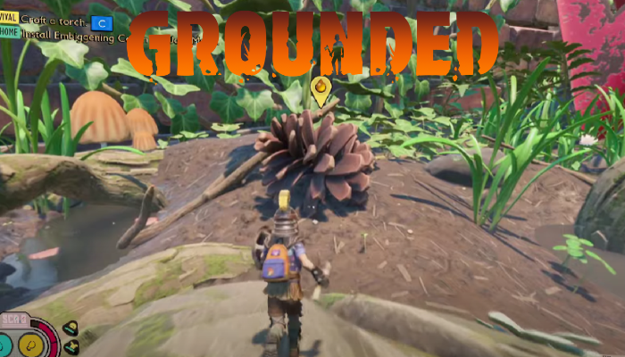 Grounded: Where to Pinecone Pieces