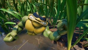 Grounded Where to Find the Toad Swamp