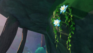 Kalpalata Lotus Efficient Farming Route for Dori and Nahida in Genshin Impact 3.1 Sumeru