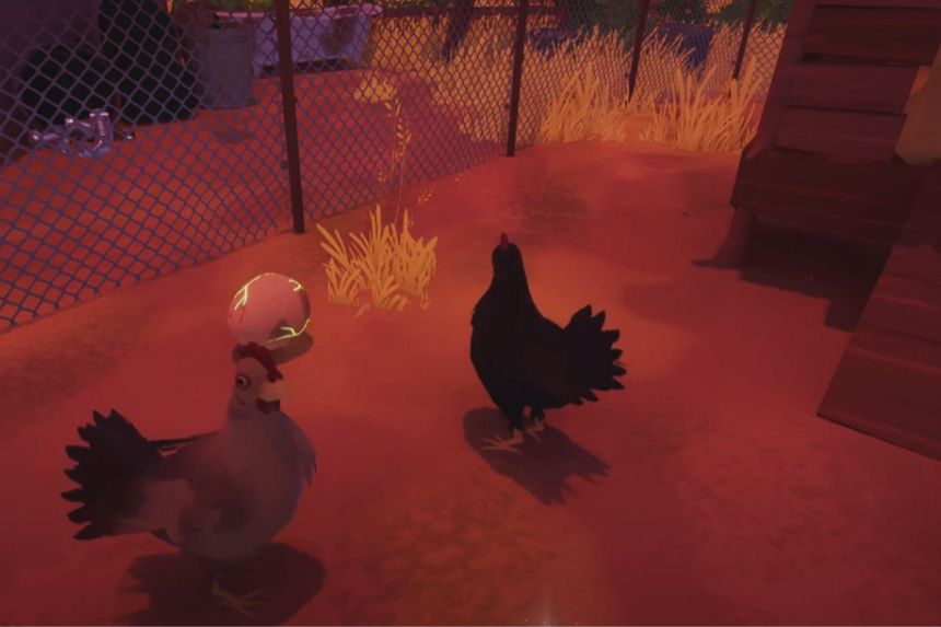 Chicken Eggs Location in Tchia- Where to Find