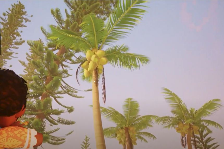 Trinket, Taro, and Coconut Locations in Tchia- How to Find Them