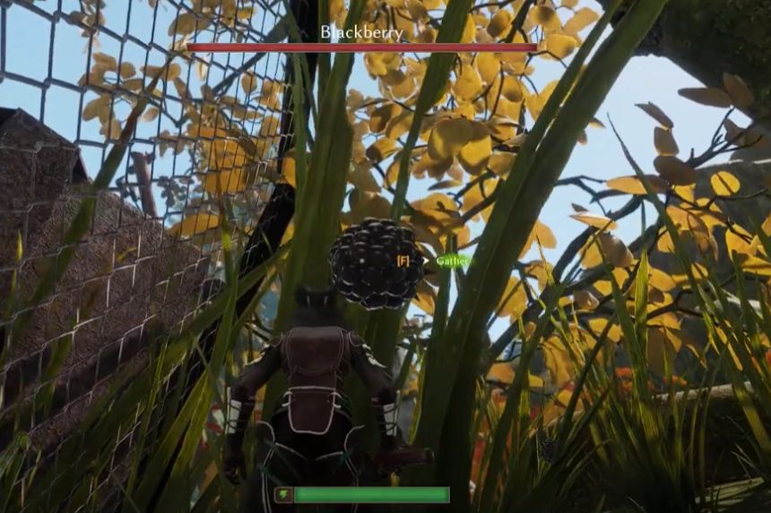 Smalland: Survive the Wilds Blackberries Location- Where to Get Them