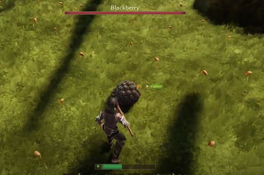 Smalland: Survive the Wilds Blackberries Location- Where to Get Them