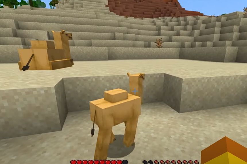 Minecraft Camel Locations- Where to Get?
