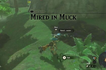 How to Free Bazz (Mired in Muck Solution) Zelda Tears of the Kingdom