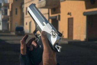 How to Get the GS Magna in DMZ