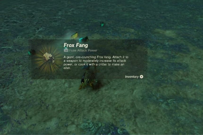 Guide to Locate and Fight Obsidian Frox in Zelda: Tears of the Kingdom?