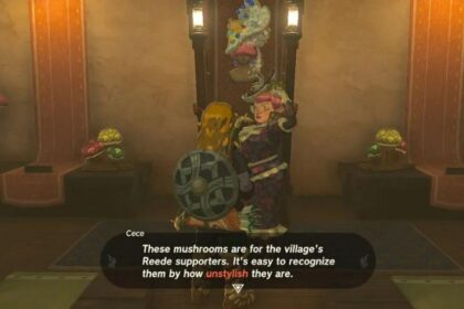 Zelda Tears of the Kingdom Choice Guide- Should You Pick Cece or Reede