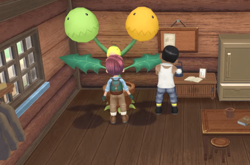 Story of Seasons: A Wonderful Life - How to get Hybrid Crops
