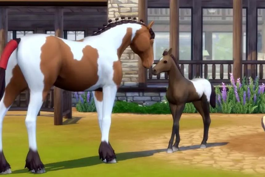 The Sims 4 Horse Ranch Hay Location- How to Find