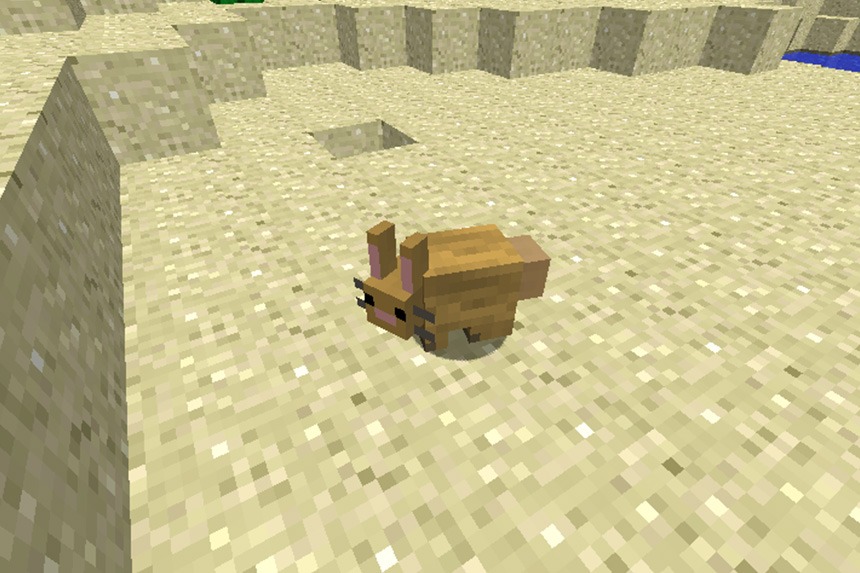 How to Tame a Bunny Rabbit in Minecraft