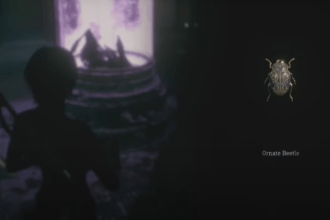 Resident Evil 4 DLC (RE4) Ornate Beetles Locations in Separate Ways