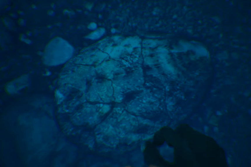 ARK Survival Ascended - How To Harvest Silica Pearls