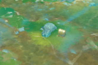 Genshin Impact 4.4 - Mt Xuanlian Secret Luxurious Chest Location.