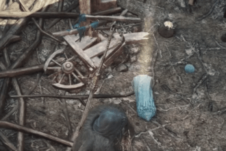 Dragon's Dogma 2 Misty Marshes Portcrystal Location