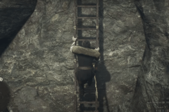How to Knock Down Ladders in Dragon's Dogma 2