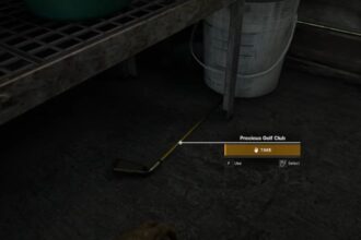 Gray Zone Warfare (GZW) - Priceless Possessions Task Guide