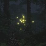 How to Catch Fireflies in Soulmask