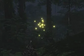 How to Catch Fireflies in Soulmask