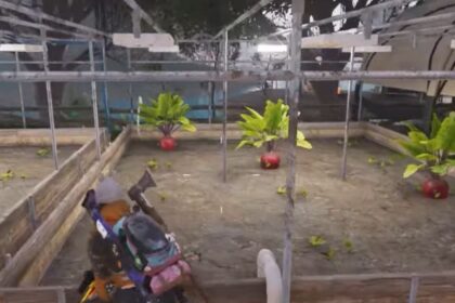 Once Human Beet Locations - How to Farm Beet