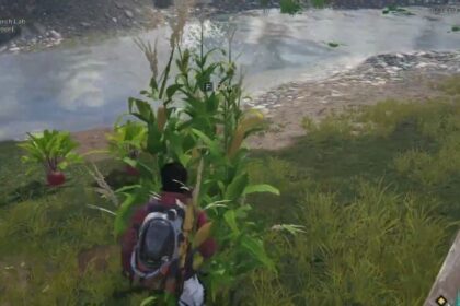 Once Human Best Corn Farming Locations