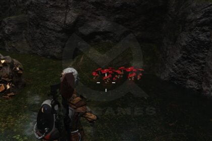 Once Human Best Mushroom Farming Locations