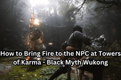 How to Bring Fire to the NPC at Towers of Karma - Black Myth Wukong