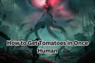 How to Get Tomatoes in Once Human