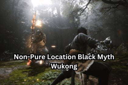 Non-Pure Location Black Myth Wukong