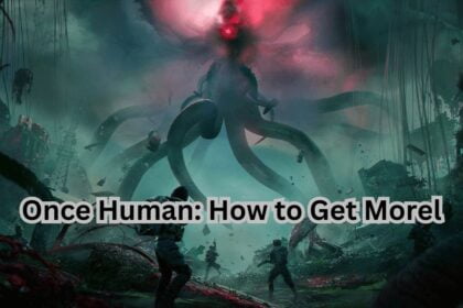 Once Human: How to Get Morel