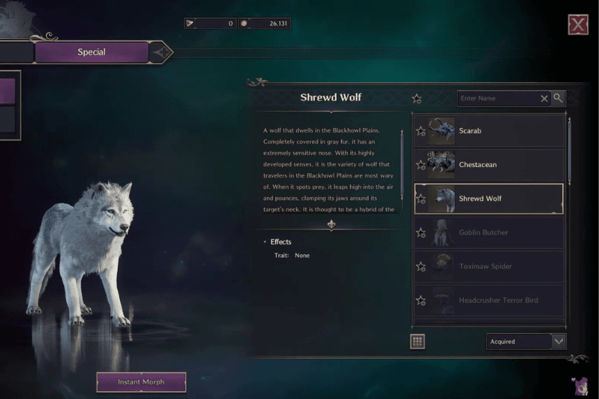 Torches, Hunters, and Traps Locations in TL for Plain-Running Hunter Quest Throne and Liberty