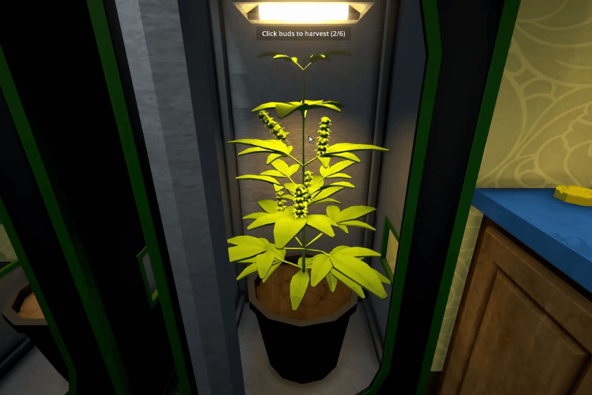 Best Early & Mid Game Mixes in Schedule 1