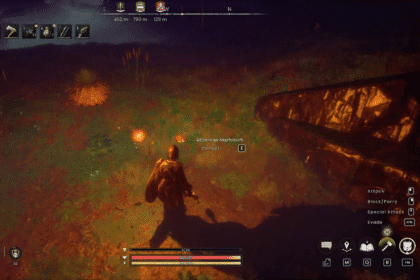 Runescape DragonWilds Paladin Armor Set Guide