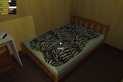 Fix Can’t Sleep Issue in My Winter Car